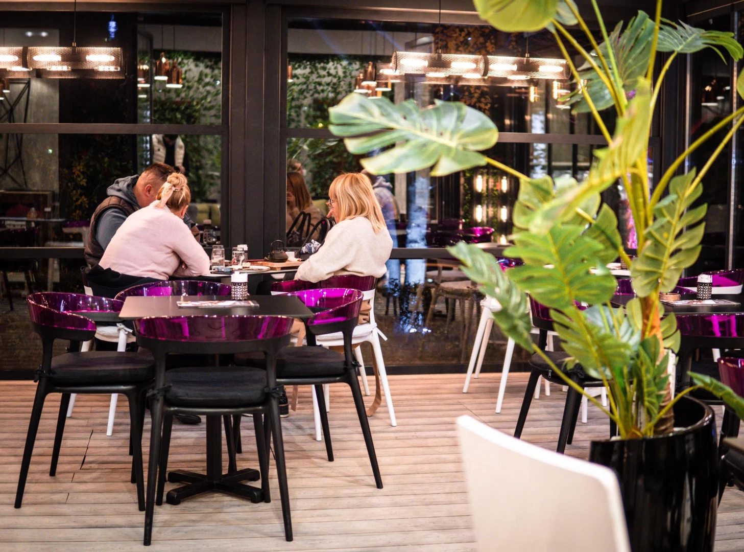 Purple Chair Restaurant Kafe